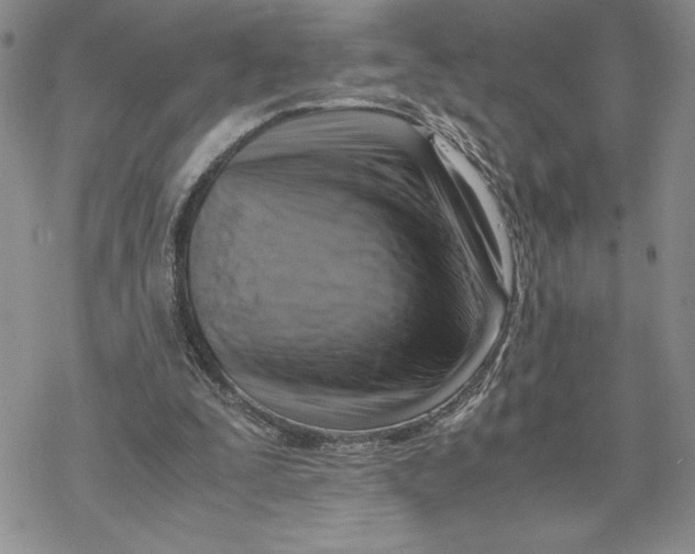 X0000069410295200606021728
