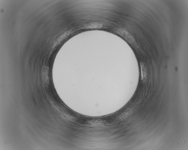 X0000069410300200606021728