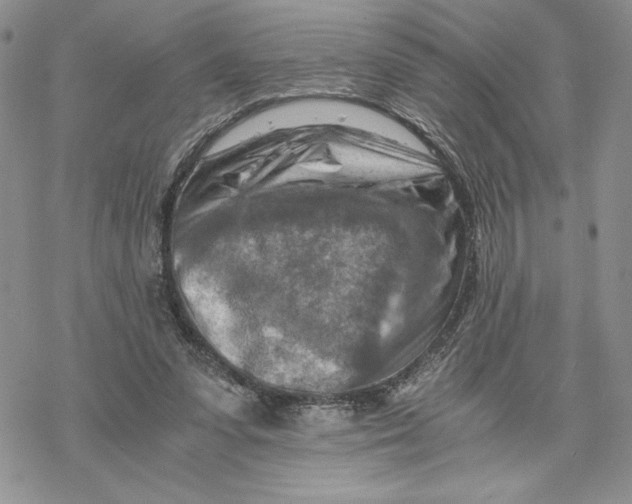 X0000069410303200606021728