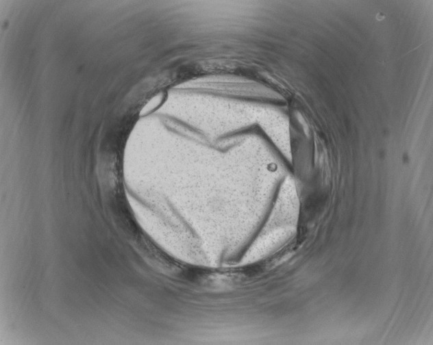 X0000069410323200606021728