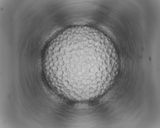 X0000069410354200606021727