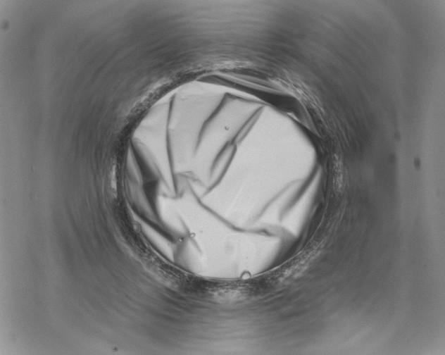 X0000069410358200606021727
