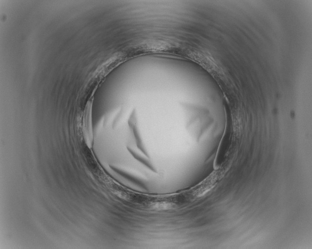 X0000069410360200606021727