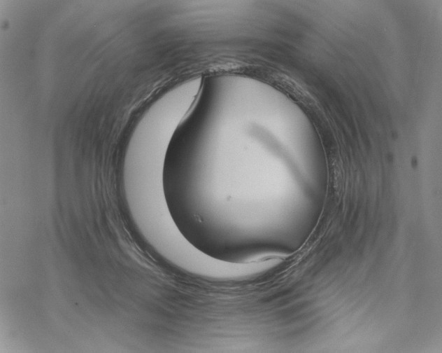 X0000069410362200606021727
