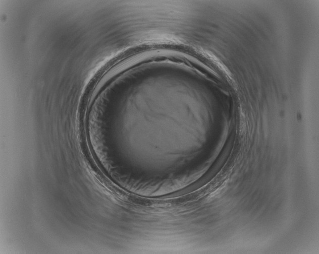 X0000069410391200606021727