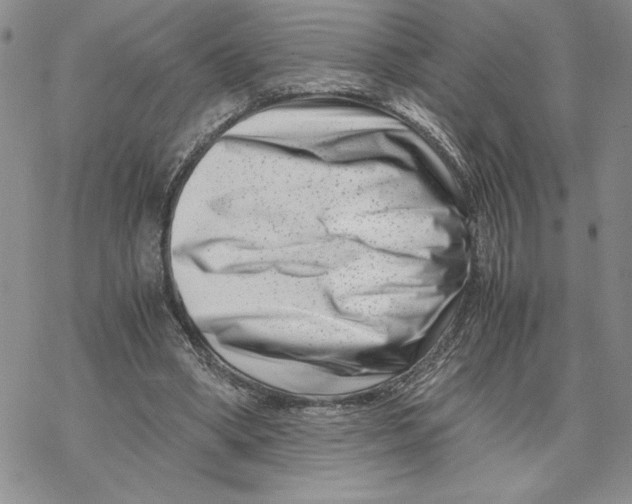 X0000069410394200606021727