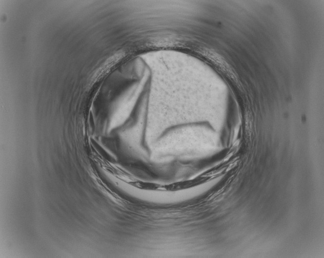 X0000069410397200606021727