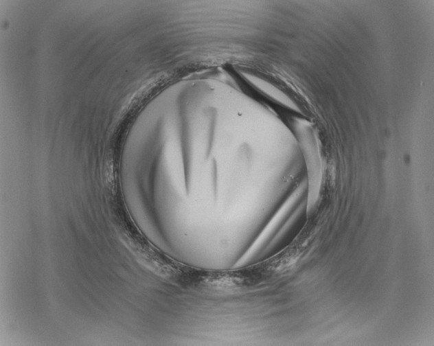 X0000069410407200606021727