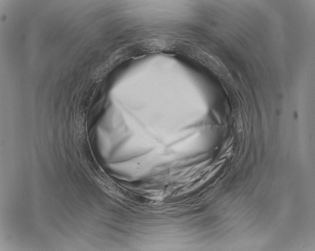 X0000069410409200606021727