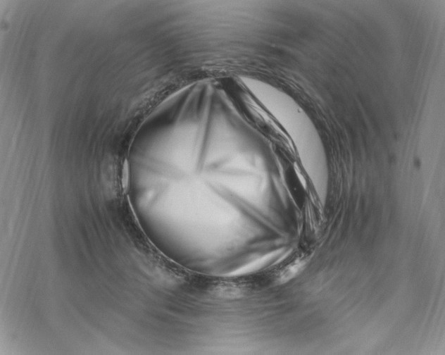 X0000069410416200606021726