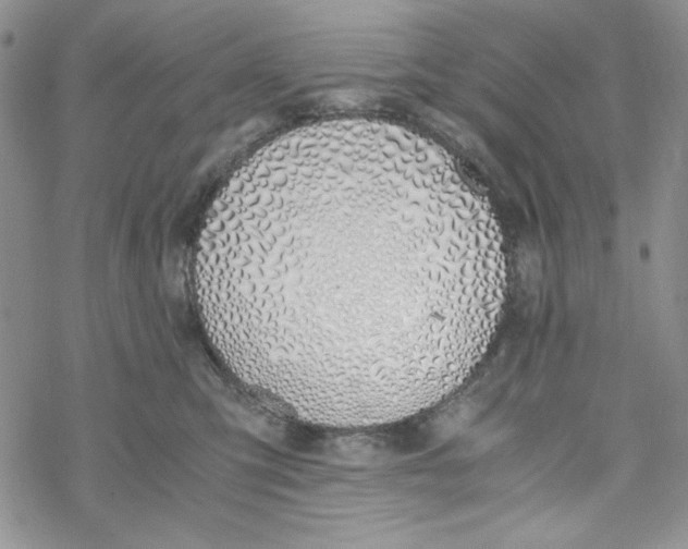 X0000069410423200606021726