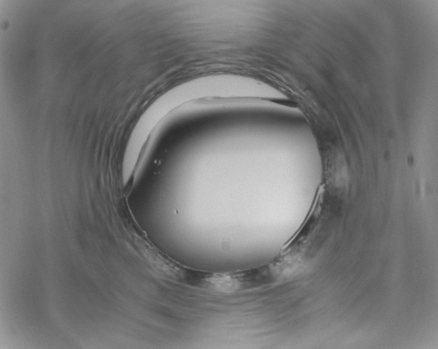 X0000069410425200606021726