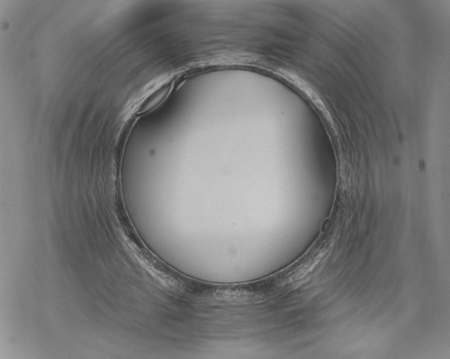 X0000069410437200606021725