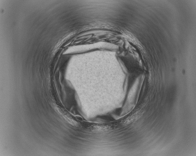 X0000069410442200606021726