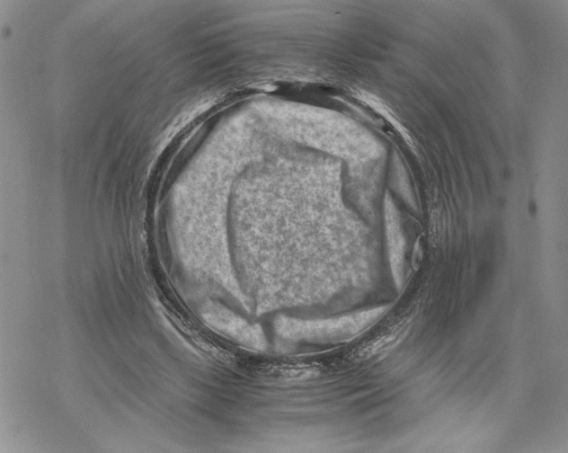 X0000069410443200606021726