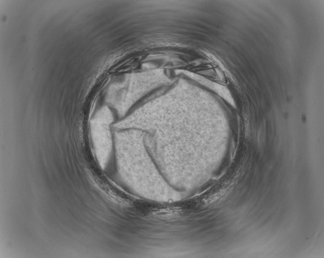 X0000069410447200606021726