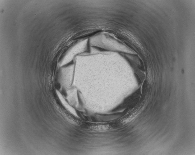 X0000069410449200606021726