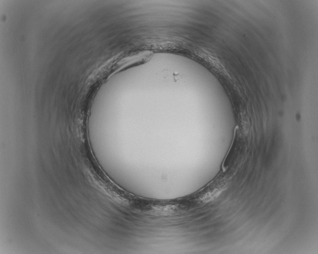 X0000069410450200606021726