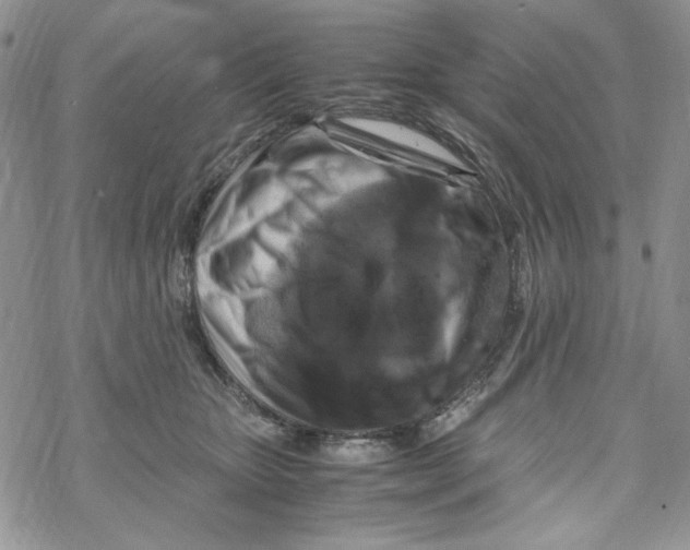 X0000069410467200606021726