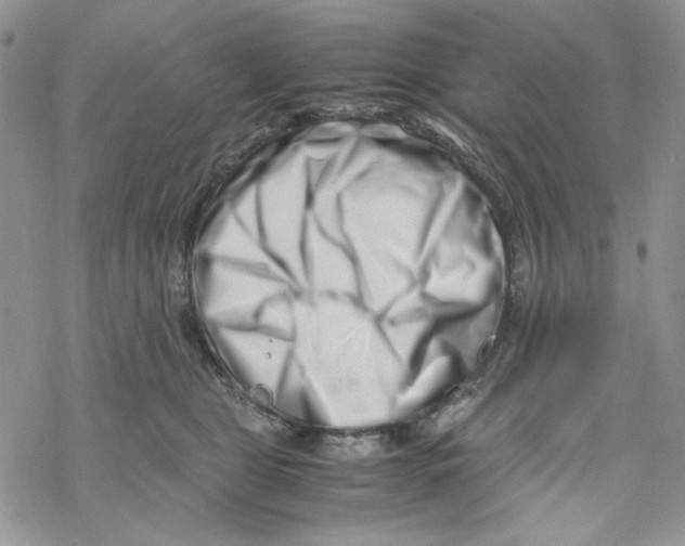 X0000069410469200606021726