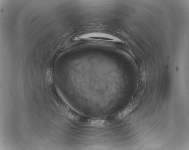 X0000069410471200606021726