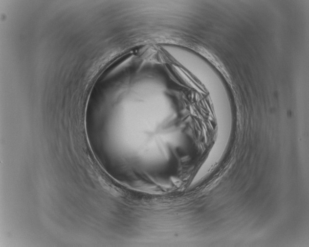 X0000069410481200606021725