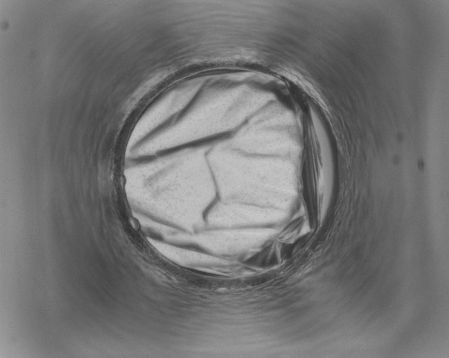 X0000069410483200606021725