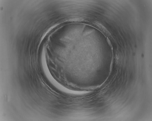 X0000069410484200606021725