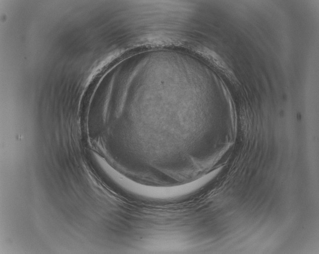 X0000069410488200606021725