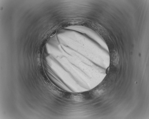 X0000069410510200606021725