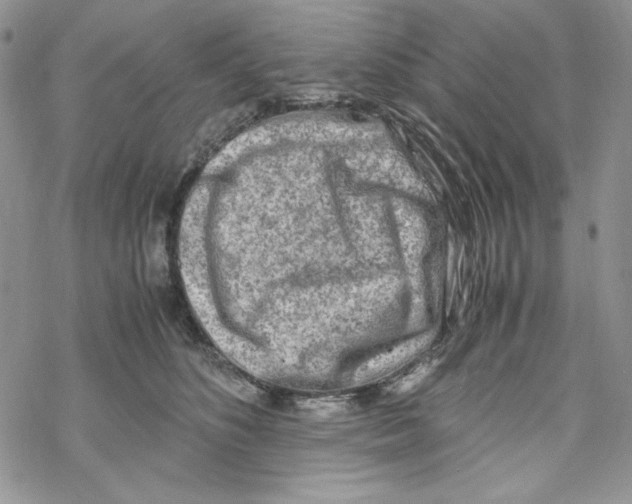 X0000069410516200606021725