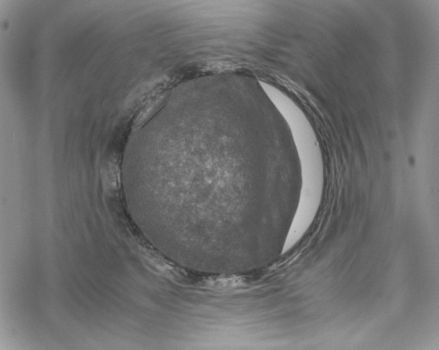 X0000069410517200606021725