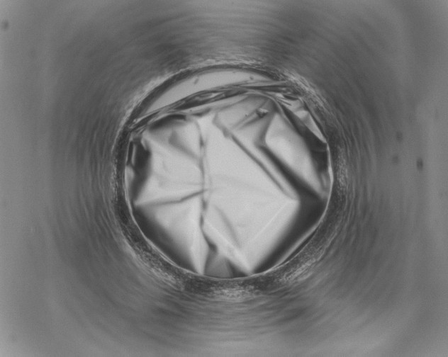 X0000069410540200606021724