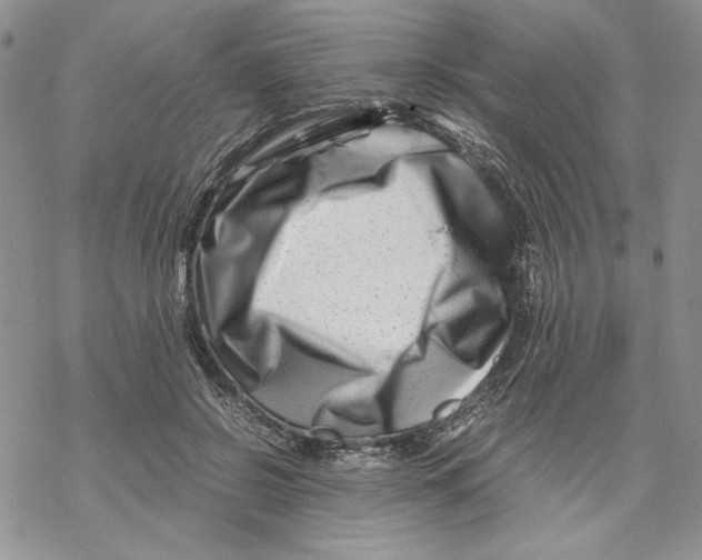X0000069410550200606021724