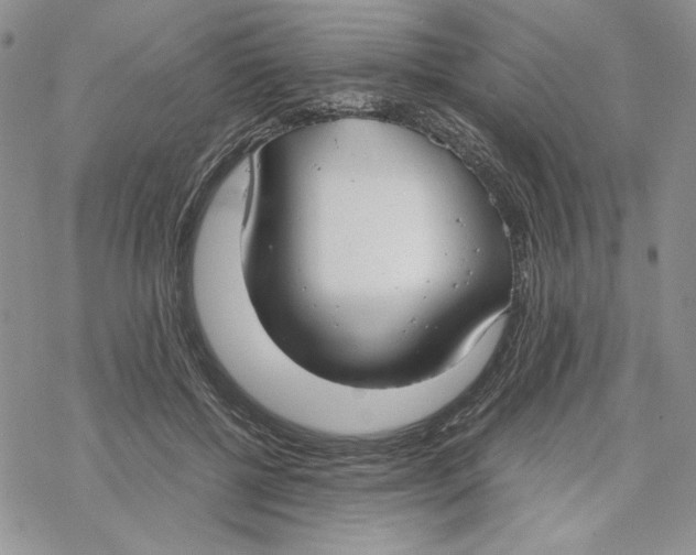 X0000069410552200606021724