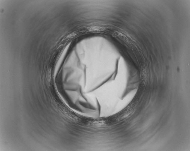 X0000069410554200606021724