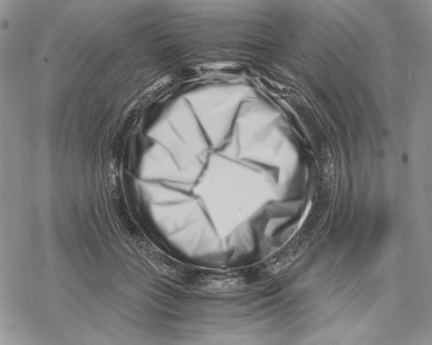 X0000069410555200606021724