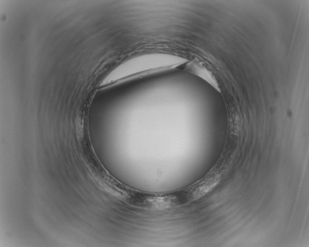 X0000069410558200606021724