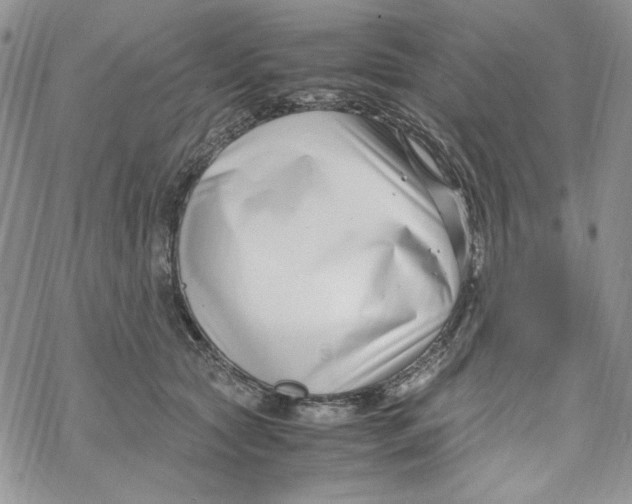X0000069410561200606021724
