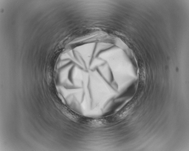X0000069410566200606021724