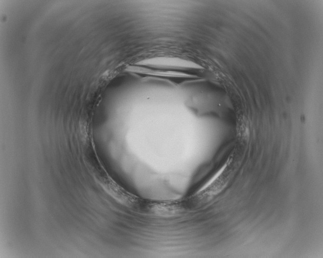 X0000069410568200606021724