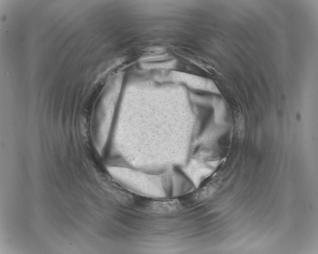 X0000069410571200606021725
