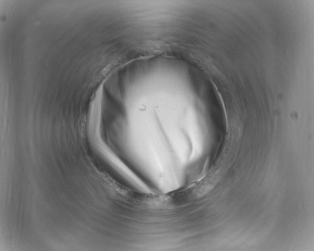X0000069410576200606021725
