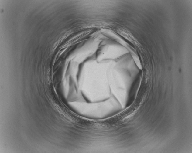 X0000069410585200606021724