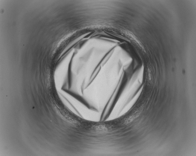 X0000069410588200606021724