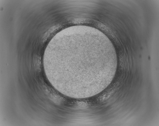 X0000069410592200606021724