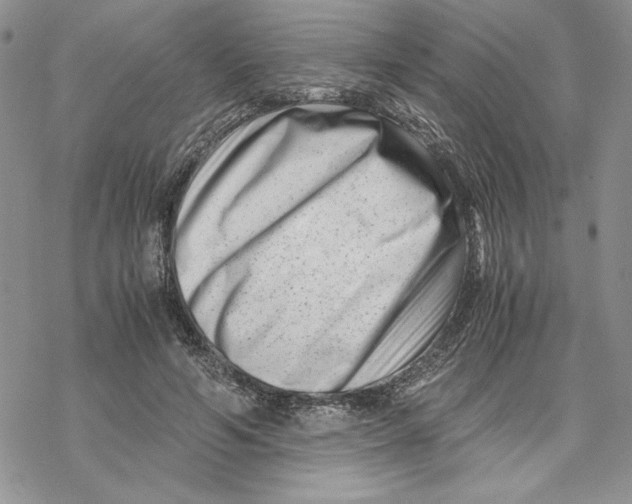 X0000069410594200606021724