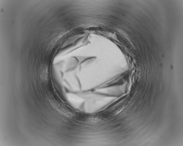 X0000069410596200606021724