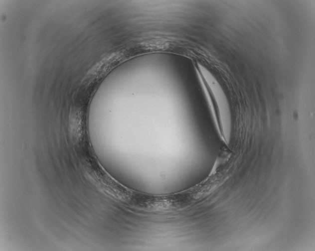 X0000069410600200606021723