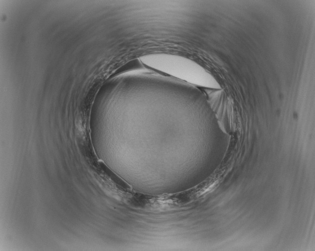 X0000069410607200606021723